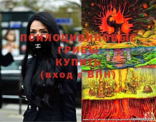 дурь Алзамай