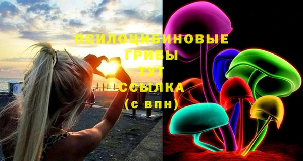дурь Алзамай